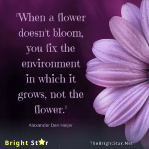 Read more about the article “When a flower doesn’t bloom, you fix the environment in which it grows, not the flower.”