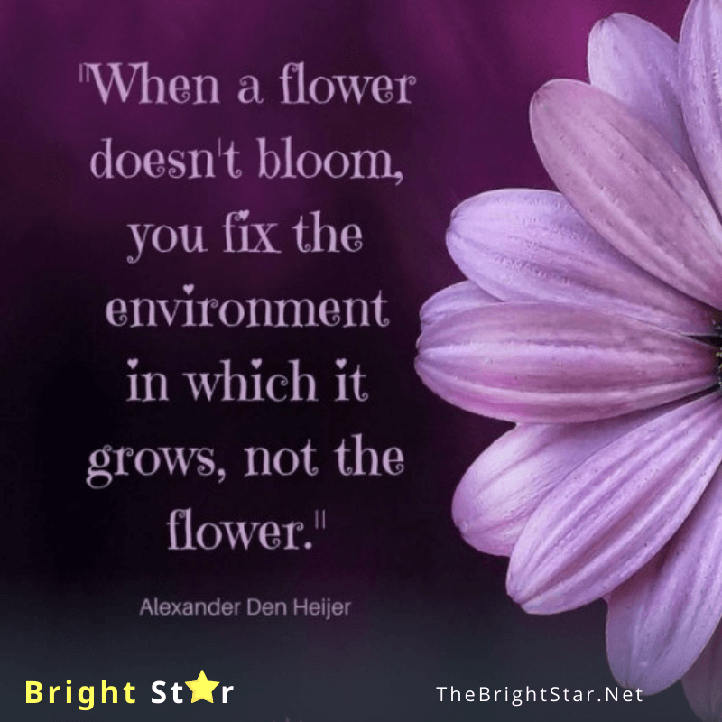 You are currently viewing “When a flower doesn’t bloom, you fix the environment in which it grows, not the flower.”