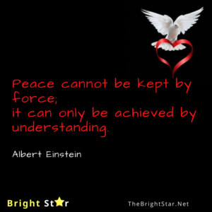 Read more about the article Peace cannot be kept by force; it can only be achieved by understanding.