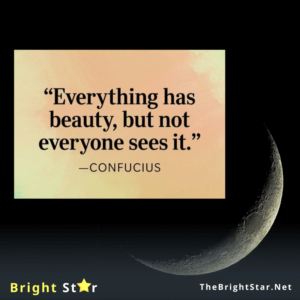 Read more about the article “Everything has beauty, but not everyone sees it.” 
