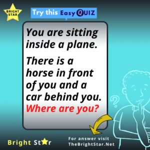 Read more about the article You are sitting inside a plane. There is a horse in front of you and a car behind you. Where are you?