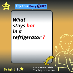 Read more about the article What stays hot in a refrigerator?