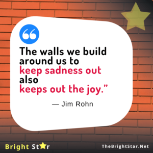 Read more about the article “The walls we build around us to keep sadness out also keeps out the joy.”