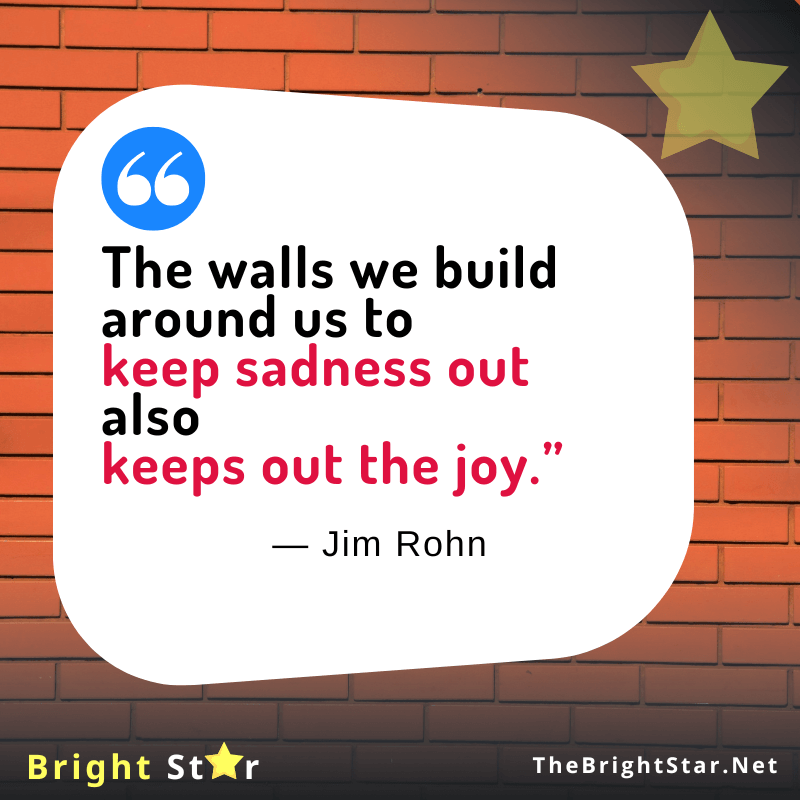 You are currently viewing “The walls we build around us to keep sadness out also keeps out the joy.”